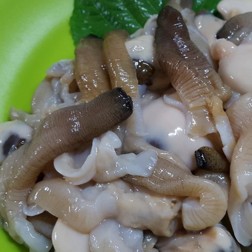통영 자연산 우럭조개 손질 샤브샤브 우럭조개