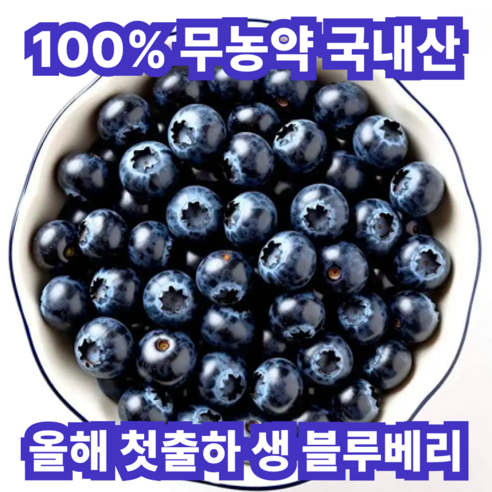 [올해첫출하]한정수량 국내산 무농약 생 블루베리, 1개, 100g