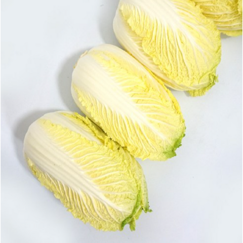 < 바른농산 > 국내산 알배기 배추 알배추 쌈배추 (400~900g)