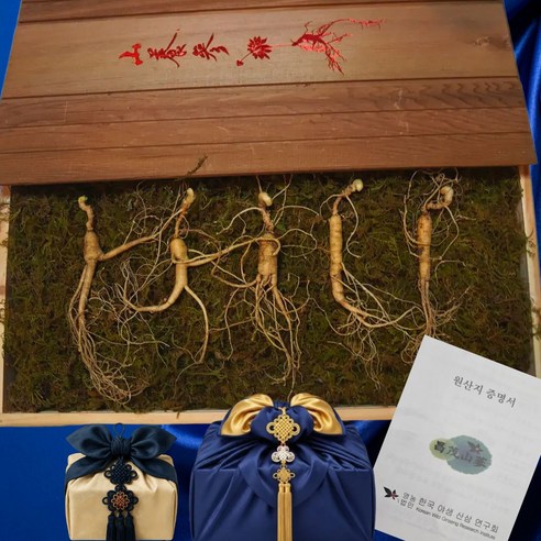 창무 강원도 횡성 야생 방치삼 자연산 산양삼 10년~20년 산삼, 5개, 15g