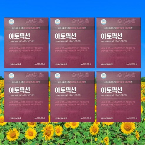 아토픽션 리더뮨아토픽션  리더문아토픽션