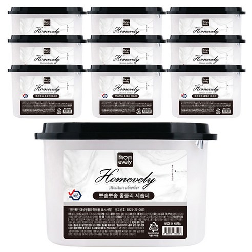 뽀송뽀송 홈블리 제습제, 300g, 10개