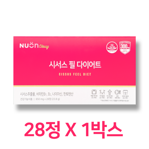 뉴온 시서스 필 다이어트 28정 X 2박스