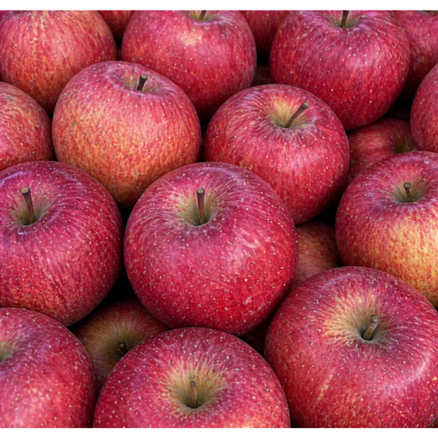 [반값특가] 초고당도 꿀 부사 사과