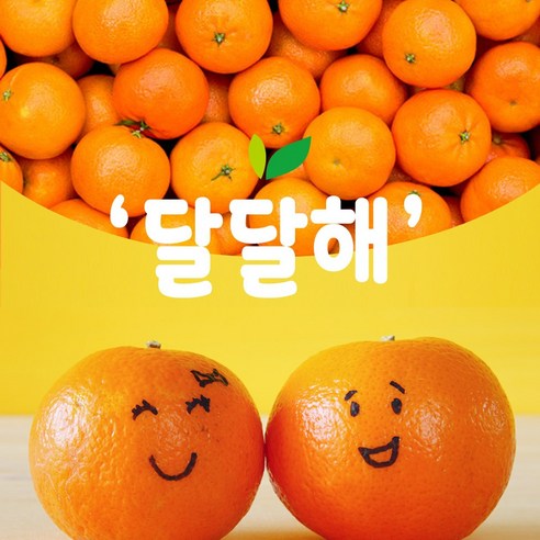 쿠팡! 인하네 제주서귀포(특)고당도 효돈감귤