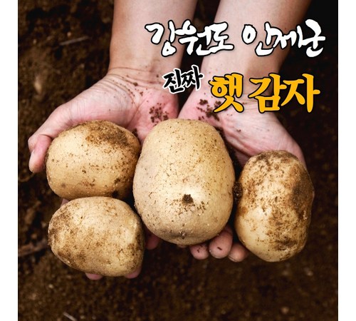 다양한 유기농 상품