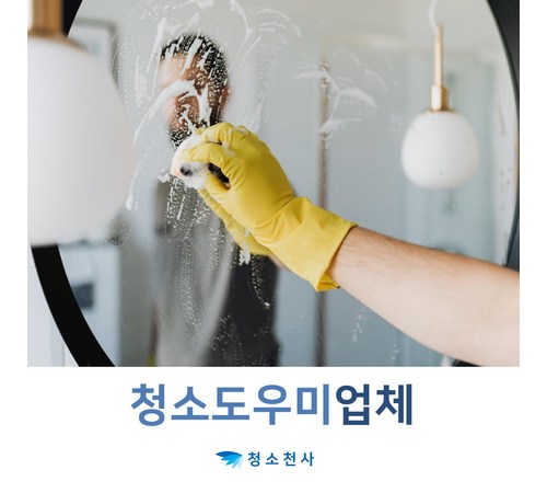 아파트 청소 업체: 깨끗하고 쾌적한 주거 환경을 위한 전문 서비스