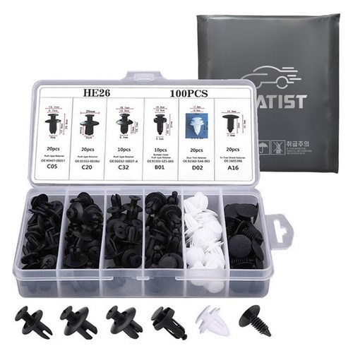 차티스트 차량용 플라스틱 패스너 리벳 고정핀 클립 100p 세트 + 보관함, 1개