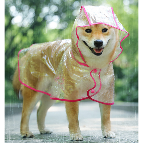 49f77aa402a1d5d03c2b4db44d9275503ca0de2bec08af8e8315eba94370.png