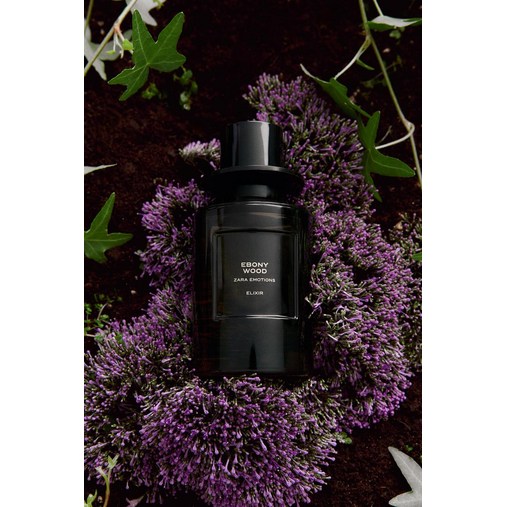 국내당일ZARA 자라 EBONY WOOD ELIXIR 오드 퍼퓸 100ML 3.4 FL.OZ