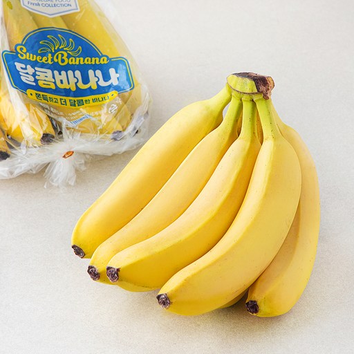 신세계푸드 에콰도르 달콤 바나나 1개 1.2kg 내외 신선한 맛과 영양 가득한 완벽한 간식