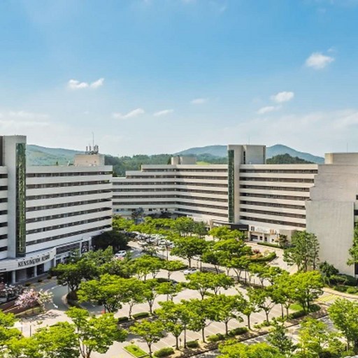 ●스튜디오 산전망
