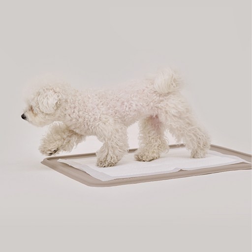 본사직영당일출고 강집사 실리콘 날개 배변매트 논슬립 화장실, 1개, 그레이지