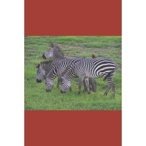 (영문도서)B'ajlom ii Nkotz'i'j Publications' Wolof Phrasebook: Ideal for Traveling to Sene..., Paperback