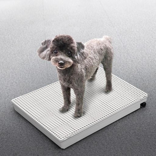 멍멍쉬 강아지 배변판 ,배수호스가 있어 물세척이 가능한 편리한 배변판, 1개, 화이트