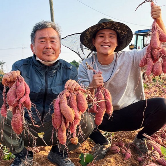 세척무농약꿀고구마: 건강과 맛, 둘 다 놓치지 마세요!