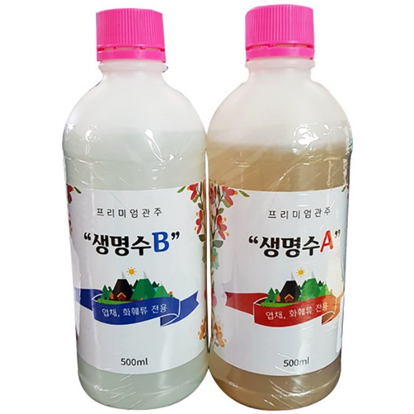 공기정화식물 꽃배달: 집안 공기를 맑게, 마음까지 싱그럽게! 미세먼지 걱정 끝!