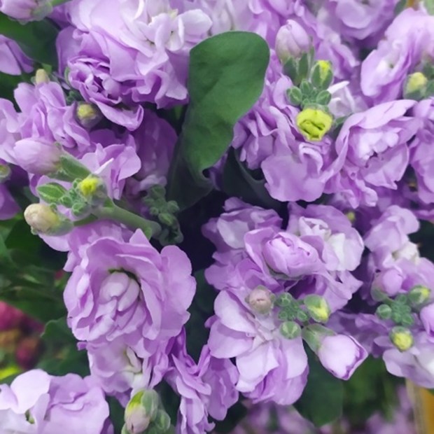 d1cc0e2d3d711bee2c262d0a689f2fd9a840266e0c1928c7f39fb059caf9.jpg
