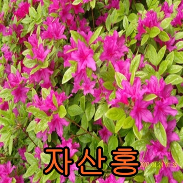 c801f8a850e8c292d814597d2b6a3ec014ec3ad48585236c56b63bbd782a.jpg
