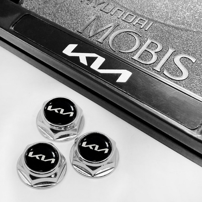 현대모비스 기아 천공 번호판가드  크롬볼트 풀세트, 1세트, 블랙