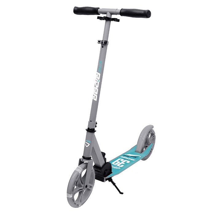 엑스원드라이브 라이더 주니어 성인 두발 접이식 수동 킥보드 XA125