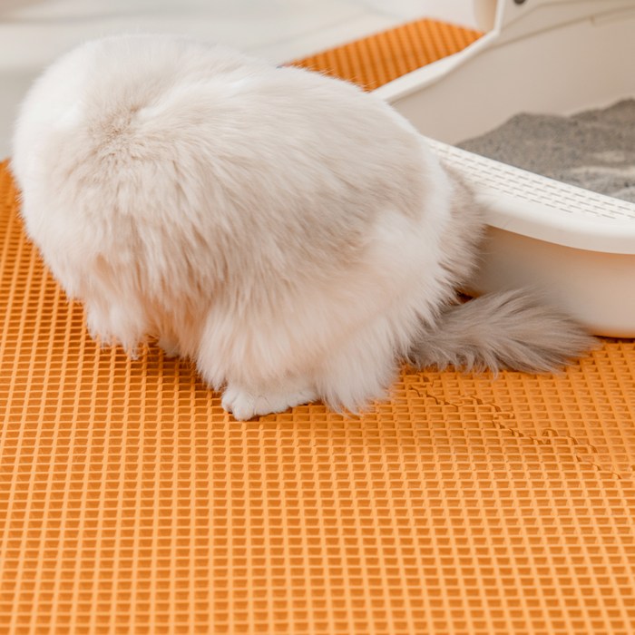 디팡 고양이 사막화방지 모래매트 화장실 발 패드, 사각형 오렌지, 1개