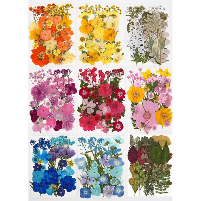 압화 드라이플라워 E형 세트 드라이 플라워 꽃 장식 보존화 재료 미니 소품 만들기