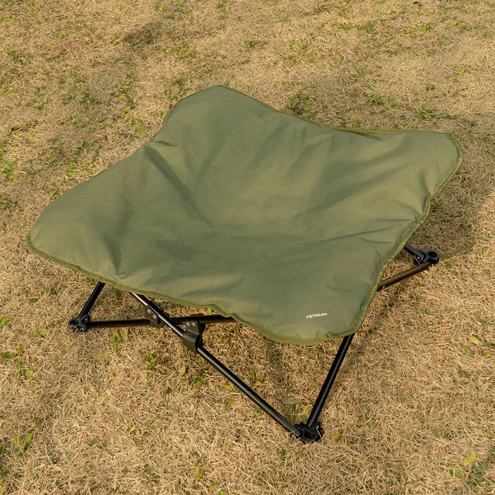 펫트리움 반려견 캠피체어