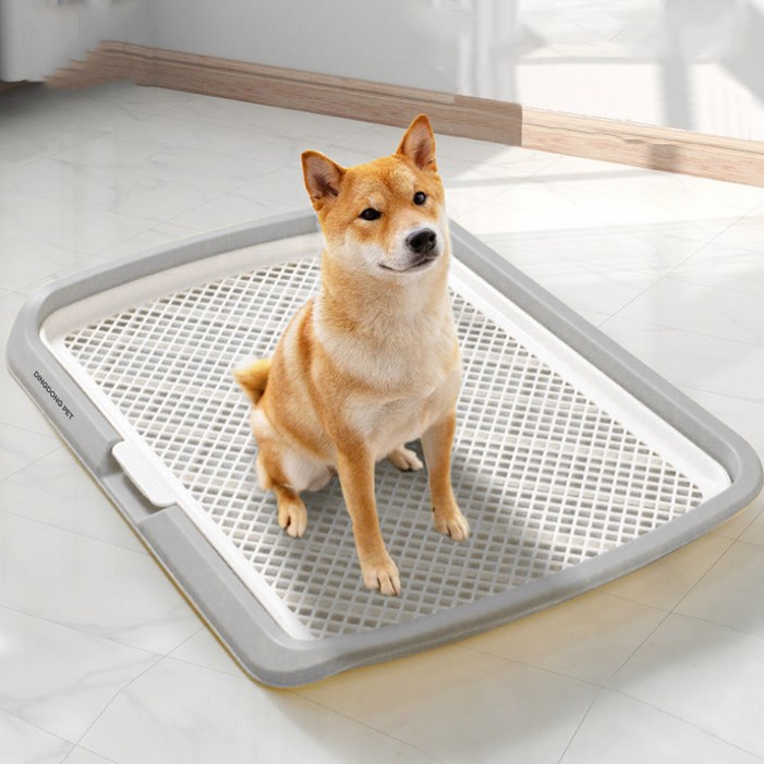 딩동펫 반려동물 보이즈 기둥배변판