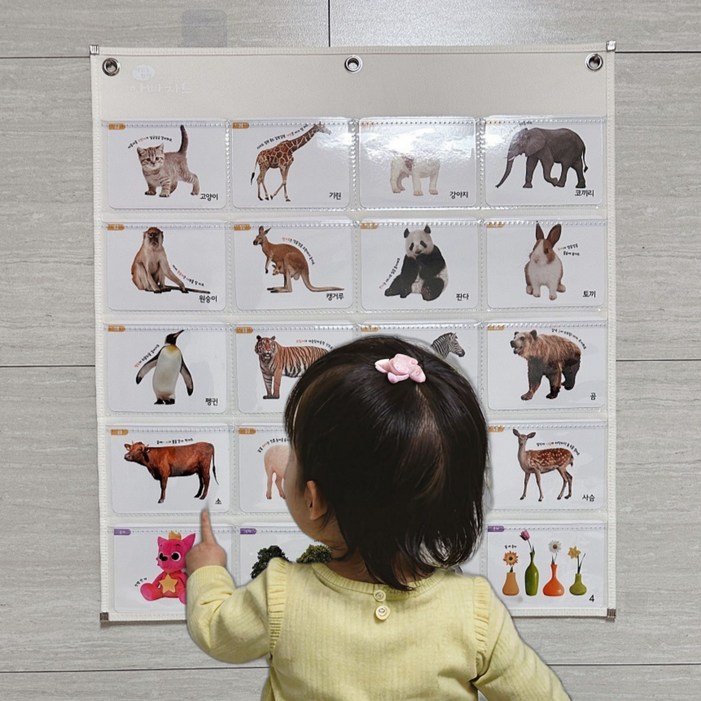 아빠차트 아기 유아 과일 동물 한글 영어 숫자 가로형 낱말카드 차트 NA11/NA12/NA7 모델중 선택