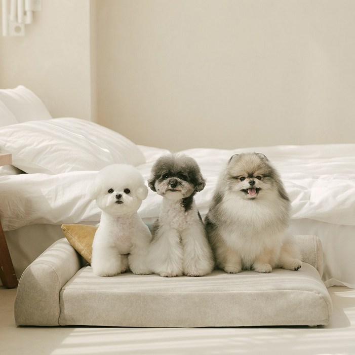 펫더팬 프리미엄 강아지 고양이 애견 침대 소파 방석 슬개골 보호, 소프트 크림, 1개