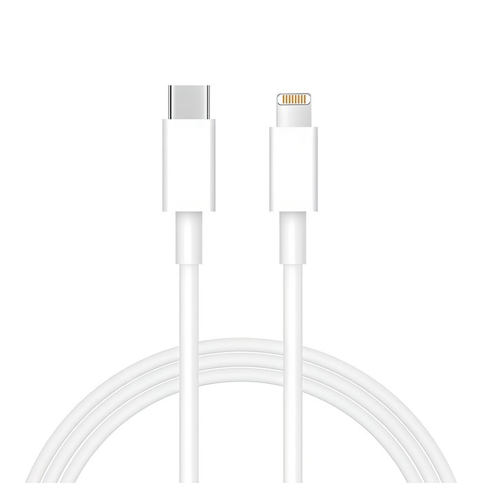 이츠라이프 C타입-8핀 고속 충전 케이블