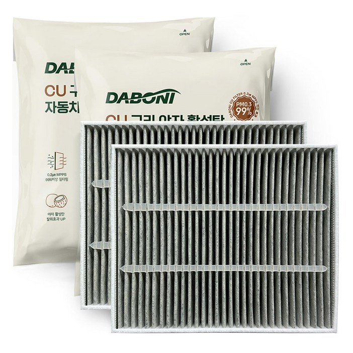 다보니 PM 0.3 카니발 4세대 KA4 구리 항균 활성탄 에어컨 필터 세트 전면후면