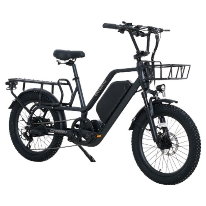레이윙 캐리 전기자전거 삼성셀 배터리 20Ah 고객직접설치, 팬텀블랙, 알루미늄