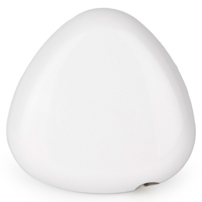 PLEIGO UV C LED 휴대용 충전식 조약돌 칫솔 살균기
