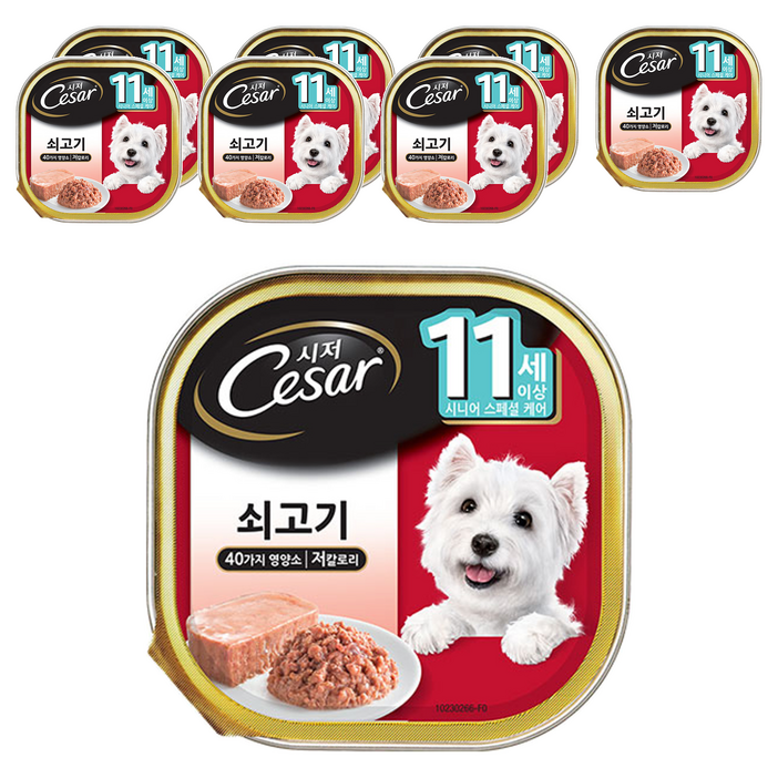 시저 11세 이상 시니어 강아지 주식캔