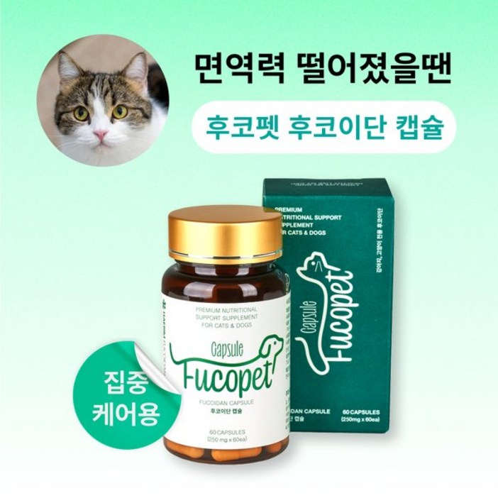 후코펫 후코펫 후코이단 캡슐 (고양이전용 후코이단)