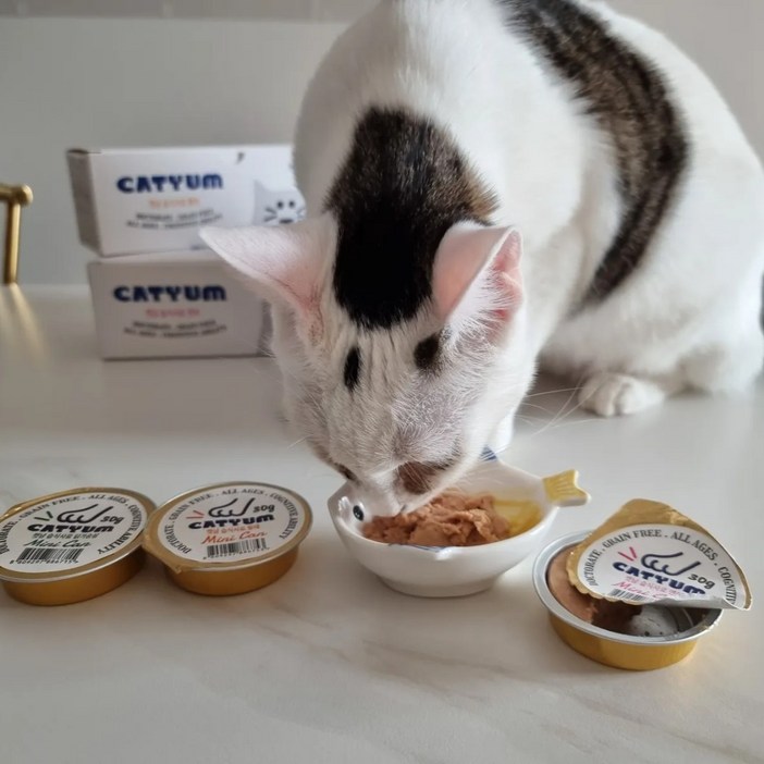 베러펫 고양이습식 고양이캔 고양이습식사료 닭가슴살연어황태소고기오리참치 30g, 36개, 30g