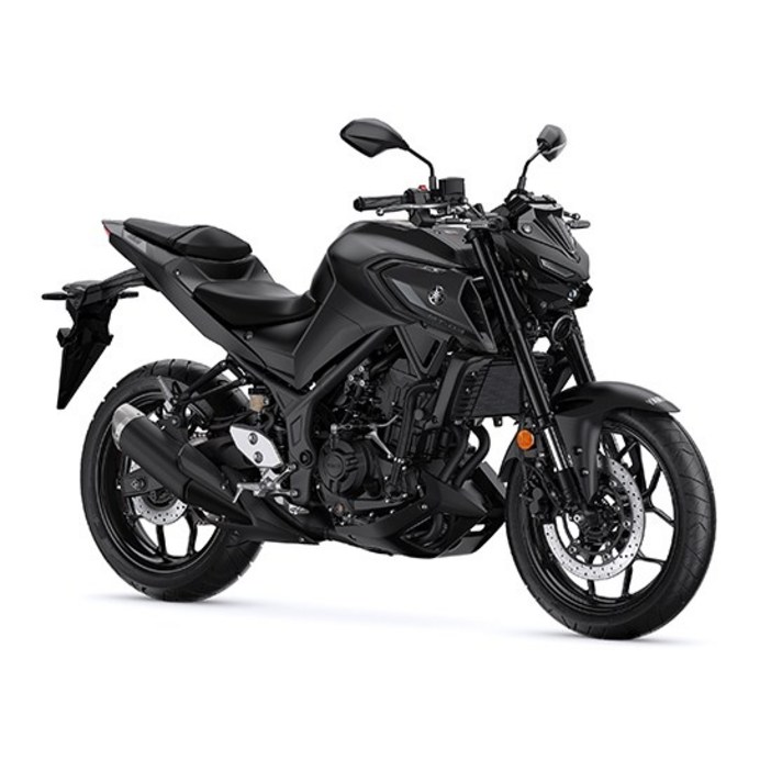 야마하서대문4S딜러 MT03  YAMAHA MT03