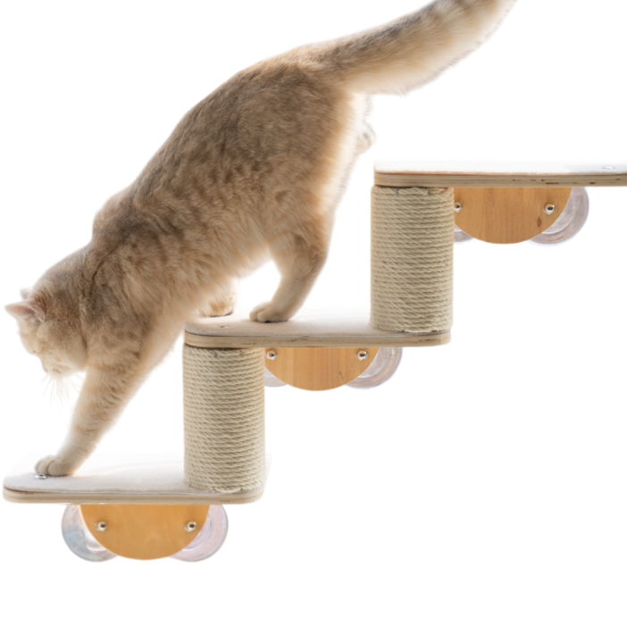 디바피스 고양이 창문 원목 캣타워 캣워커 캣선반 스텝 해먹