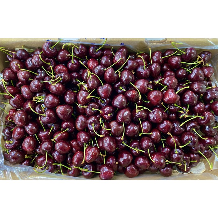 프리미엄 체리 생체리 미국 칠레 2.5kg 5kg 9row 9.5row, 1개, 5kg 한박스
