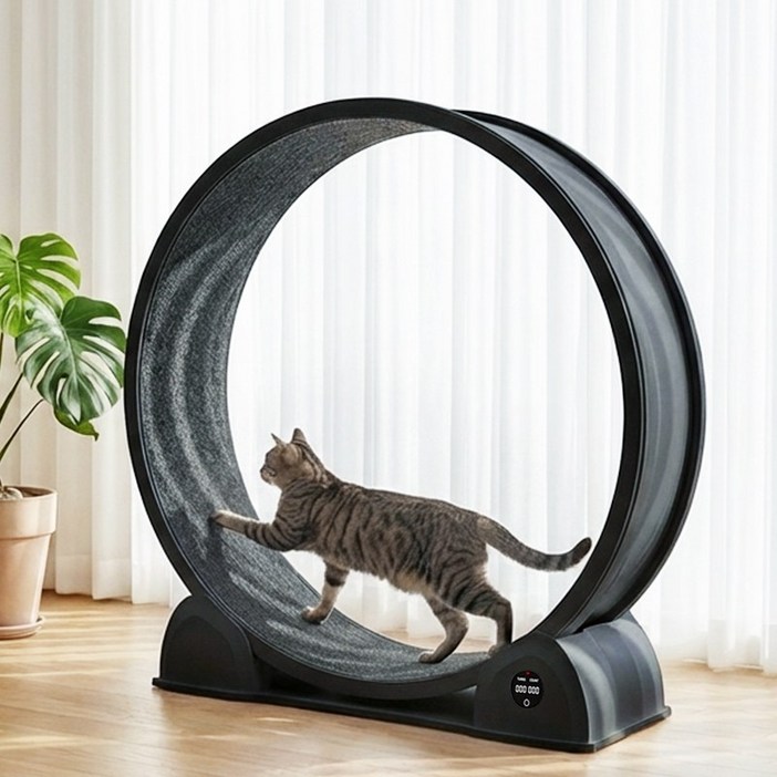돌아라 저소음 대구경 캣휠 스마트 거리측정 고양이 런닝머신, 1개, 블랙
