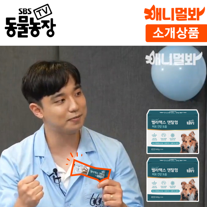 SBS TV 동물농장 덴탈껌 강아지 치석 양치 입냄새 제거, 구강/치석관리, 단품, 2개, 160g