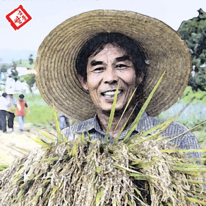 금종쌀 친환경 고시히카리 당일도정 쌀눈 저온저장 백미 5kg, 10kg, 상등급, 1개, 10kg