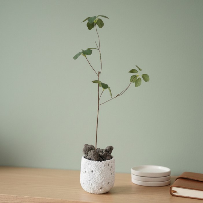 화이트 화분 스톤 디퓨저 인테리어 오브제 집들이 선물 방향제 아로마 오일