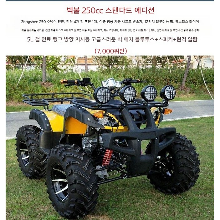 사륜오토바이 산악 오프로드 ATV 사발이 운반차, Big Bull 250 수냉식 스탠다드 에디션
