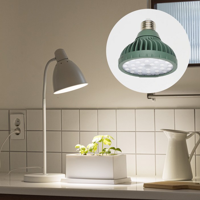 파미 식물등 생장 성장 램프 전구 조명 식물 LED _ 허브,목본 파장, 주백색, 1개