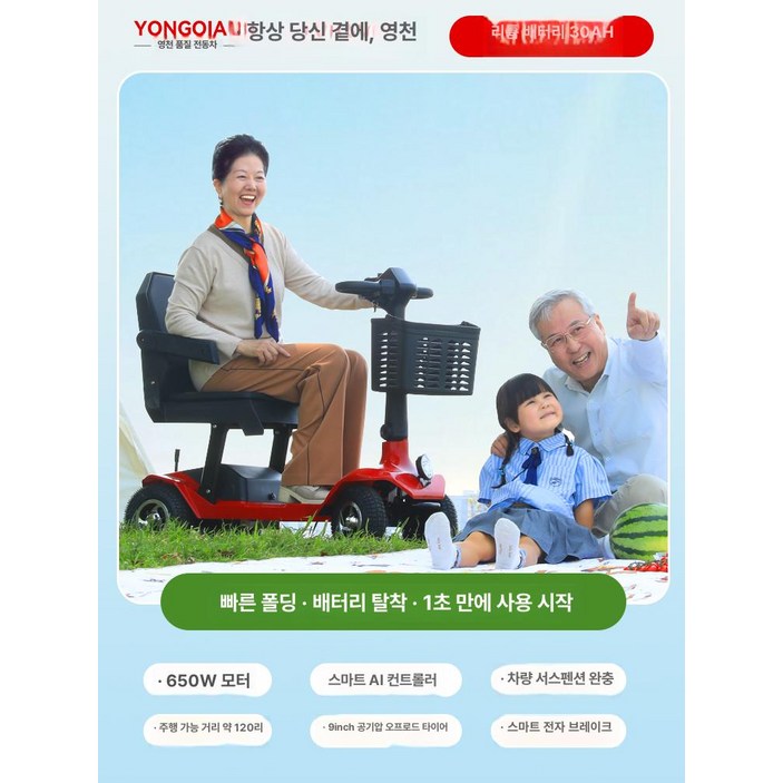 최동글 노인전동차 안전한 스쿠터 바이크 노인, M2 모델 40A 120마일 650W, 24V