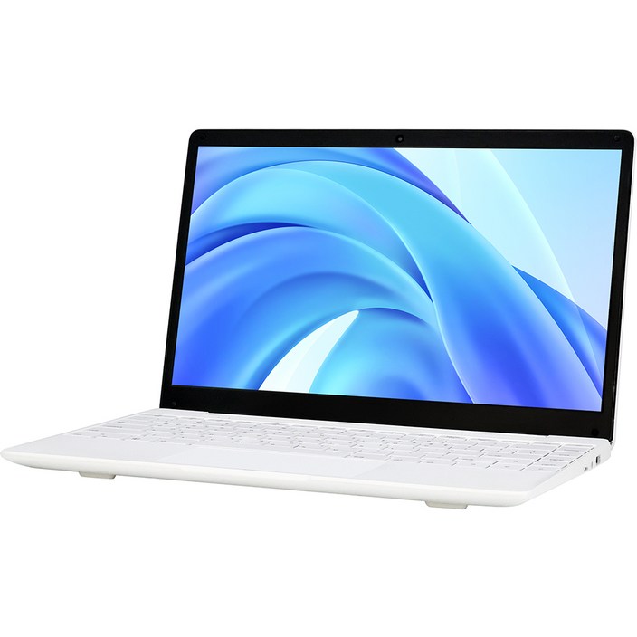 빅트랙 2024 브이북 14 셀러론 인텔 11세대, 화이트, 256GB, 8GB, WIN11 Home, VICLPTP02