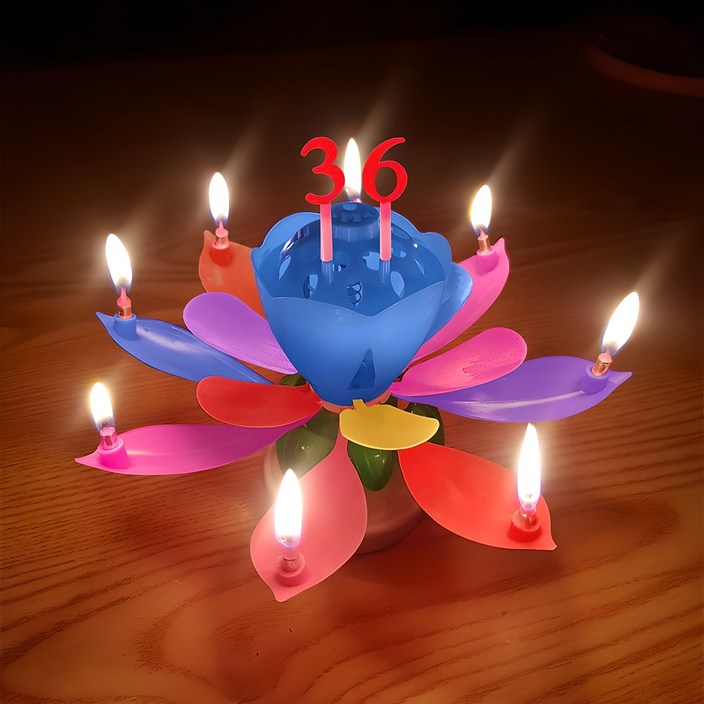 스토리빙 생일 축하 초 연꽃 멜로디 선물 파티 용품 + 숫자 토퍼 19p 세트